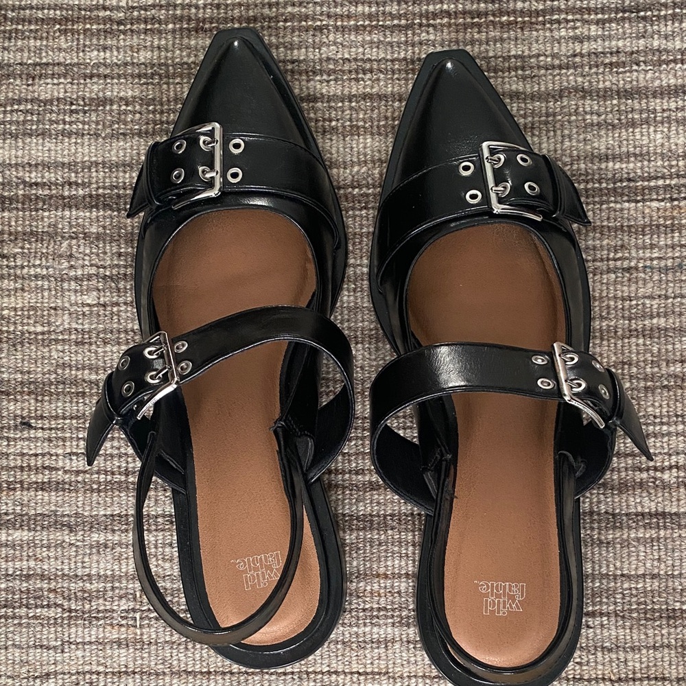 Wild Fable Black Pointed Toe Flats with Buckle Straps; size 10; worn once
